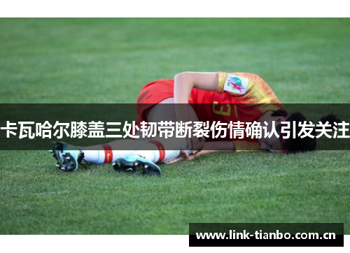 卡瓦哈尔膝盖三处韧带断裂伤情确认引发关注 卡瓦哈尔膝盖三处韧带断裂伤情确认引发关注